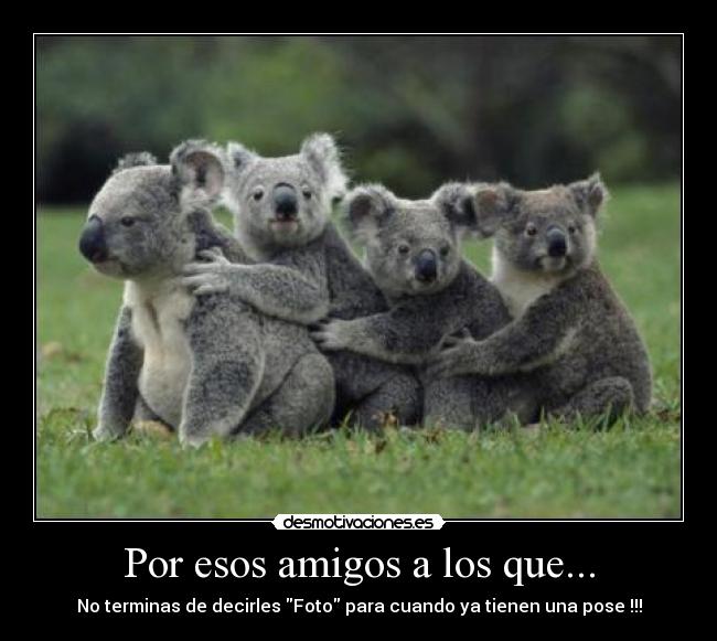 carteles amigos foto desmotivaciones