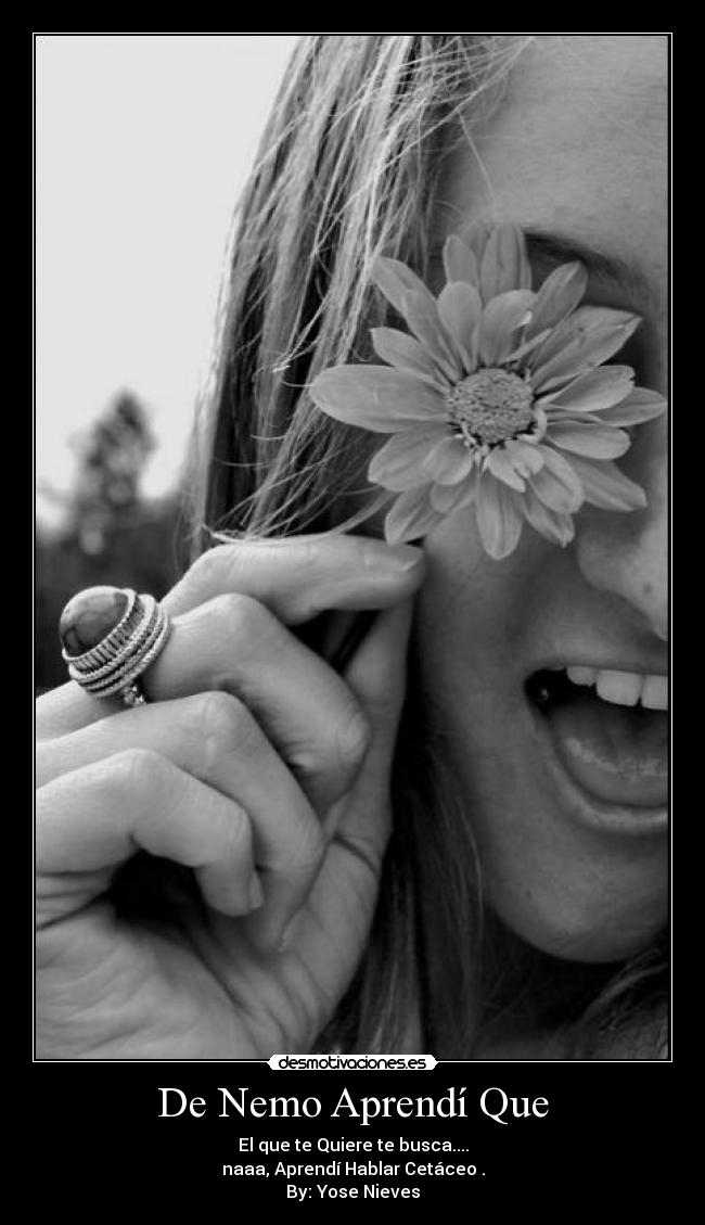 carteles yose nieves desmotivaciones