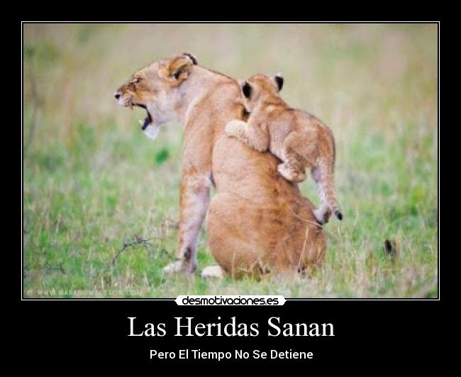 Las Heridas Sanan - Pero El Tiempo No Se Detiene
