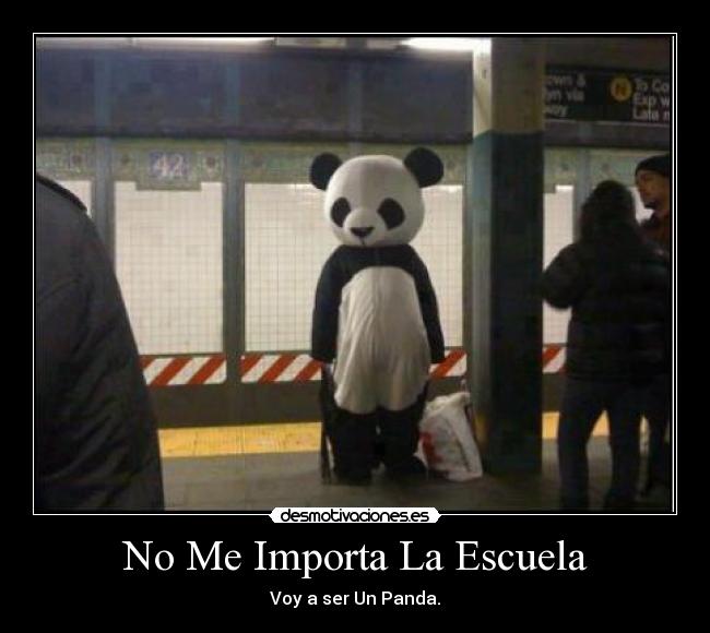 No Me Importa La Escuela - Voy a ser Un Panda.