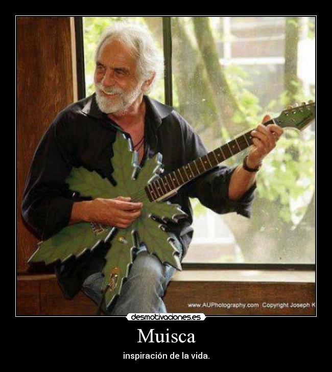 carteles vida desmotivaciones