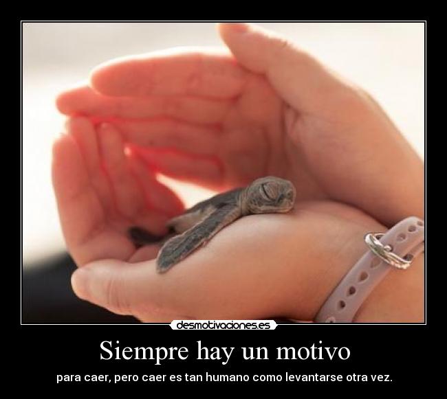 Siempre hay un motivo - para caer, pero caer es tan humano como levantarse otra vez.