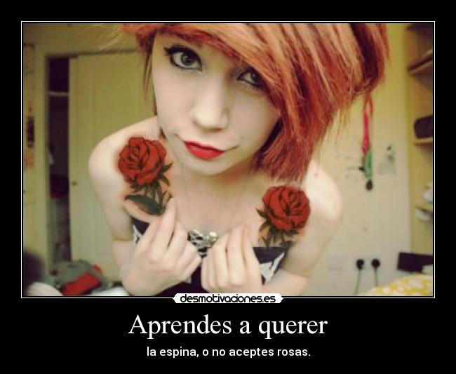 Aprendes a querer - la espina, o no aceptes rosas.