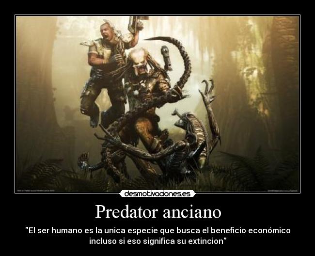 Predator anciano - 
