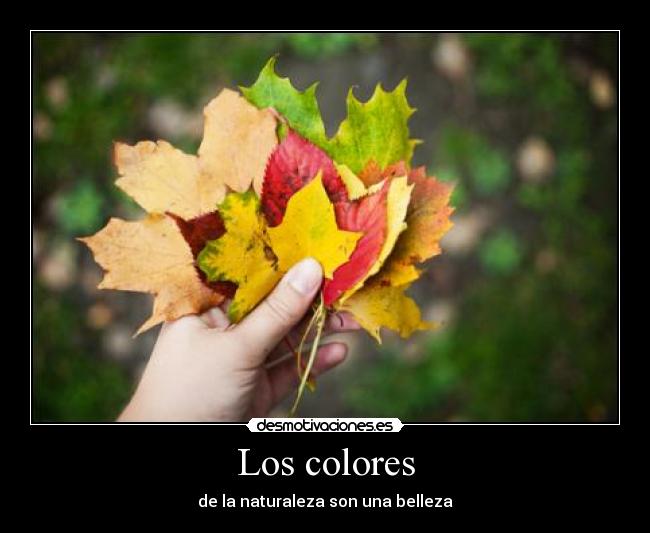 Los colores -