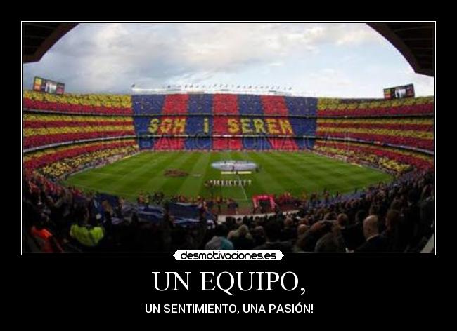 UN EQUIPO, - UN SENTIMIENTO, UNA PASIÓN!