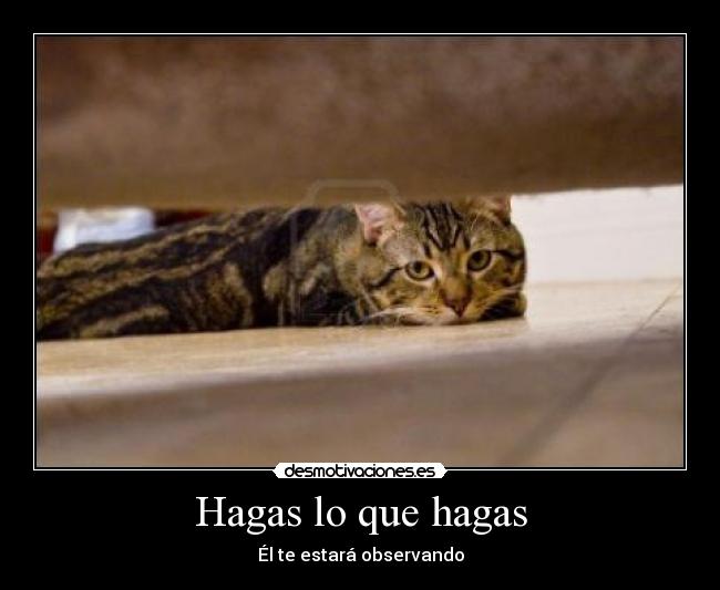 Hagas lo que hagas -