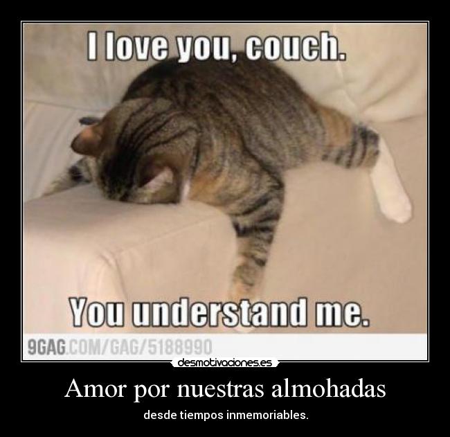 Amor por nuestras almohadas - desde tiempos inmemoriables.