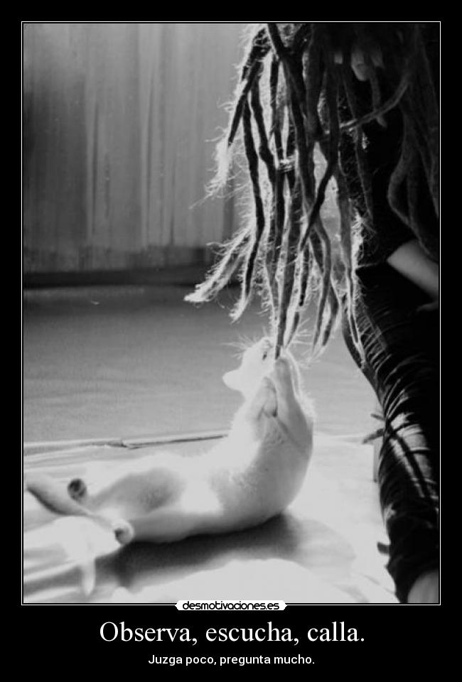 carteles observar escuchar callar jugar preguntar desmotivaciones
