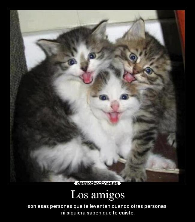 Los amigos -