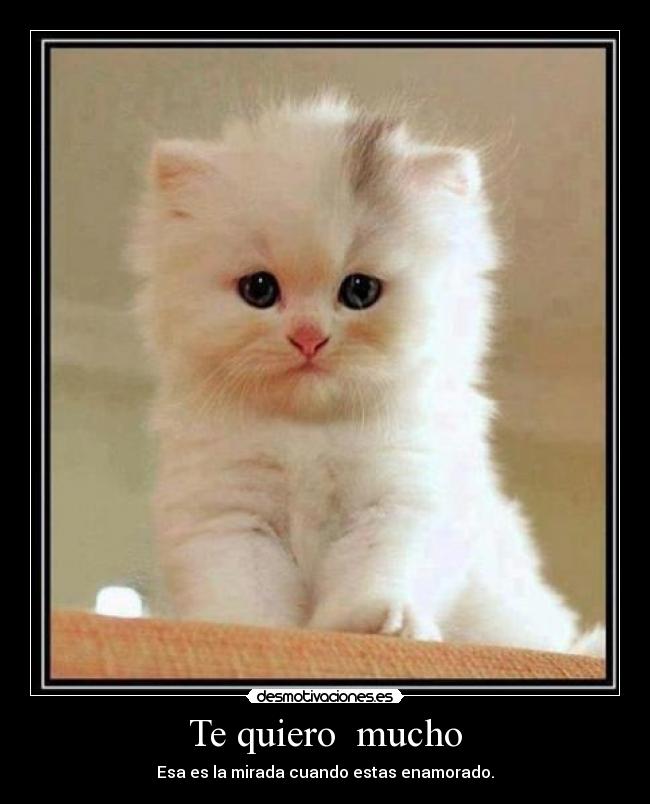 Te quiero  mucho - Esa es la mirada cuando estas enamorado.