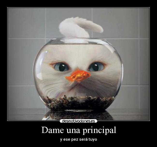 Dame una principal -