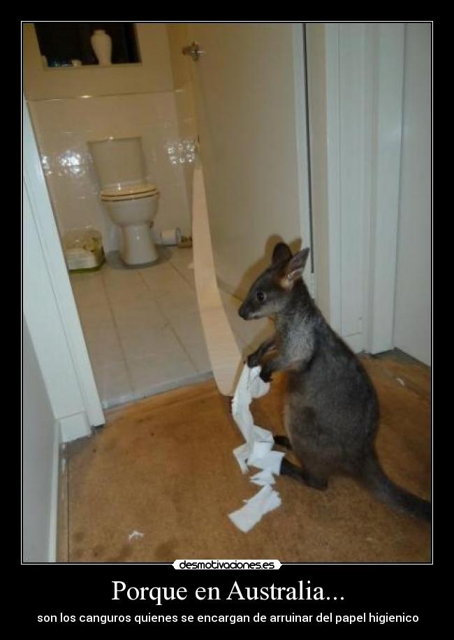 carteles fvfv desmotivaciones