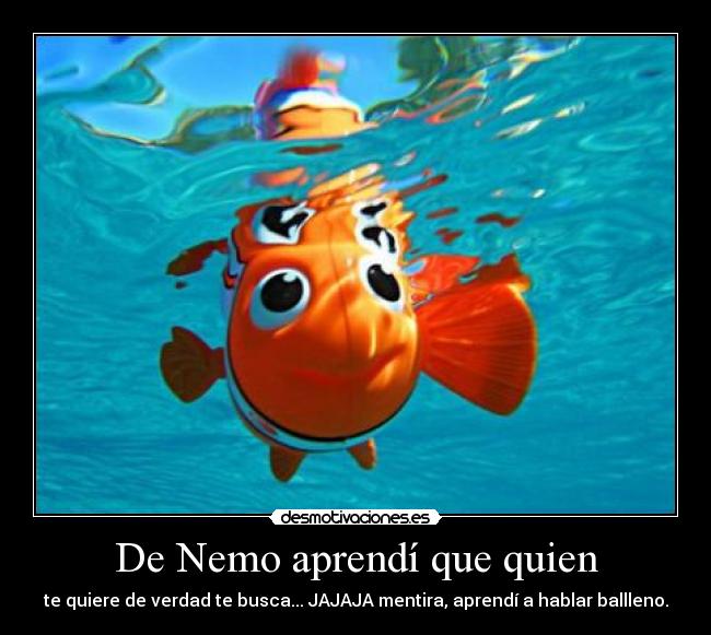 De Nemo aprendí que quien - te quiere de verdad te busca... JAJAJA mentira, aprendí a hablar ballleno.