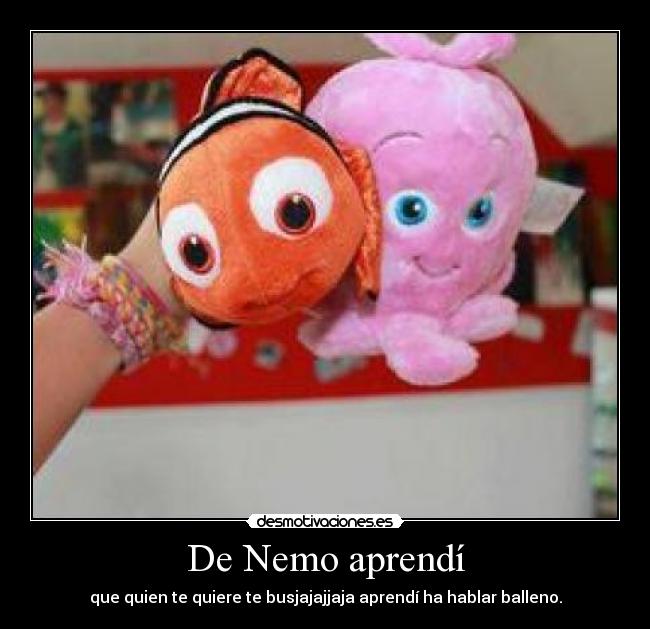 De Nemo aprendí - que quien te quiere te busjajajjaja aprendí ha hablar balleno.