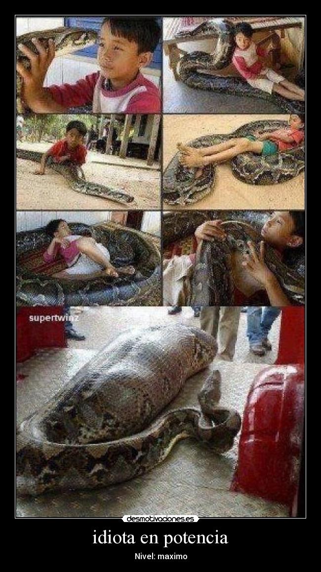 idiota en potencia - 