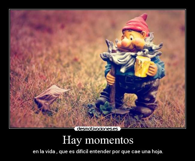 Hay momentos - en la vida , que es difícil entender por que cae una hoja.