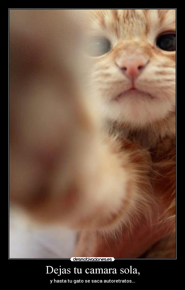 Dejas tu camara sola, -