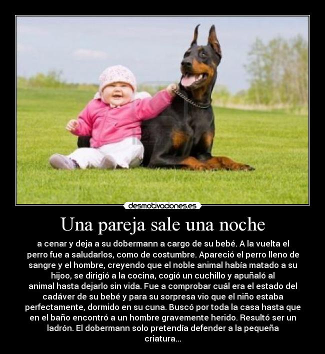 Una pareja sale una noche - a cenar y deja a su dobermann a cargo de su bebé. A la vuelta el
perro fue a saludarlos, como de costumbre. Apareció el perro lleno de
sangre y el hombre, creyendo que el noble animal había matado a su
hijoo, se dirigió a la cocina, cogió un cuchillo y apuñaló al
animal hasta dejarlo sin vida. Fue a comprobar cuál era el estado del
cadáver de su bebé y para su sorpresa vio que el niño estaba
perfectamente, dormido en su cuna. Buscó por toda la casa hasta que
en el baño encontró a un hombre gravemente herido. Resultó ser un
ladrón. El dobermann solo pretendía defender a la pequeña
criatura...