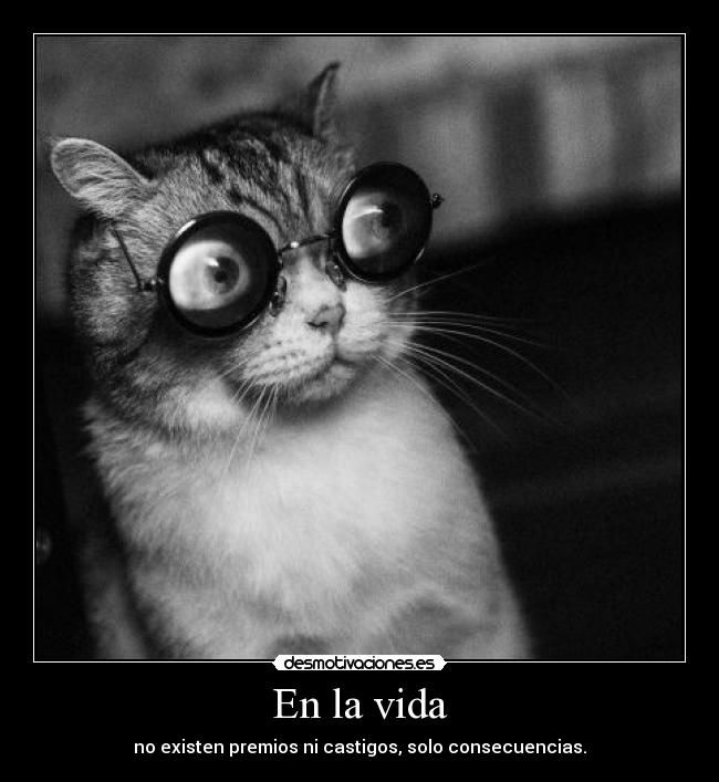 En la vida -