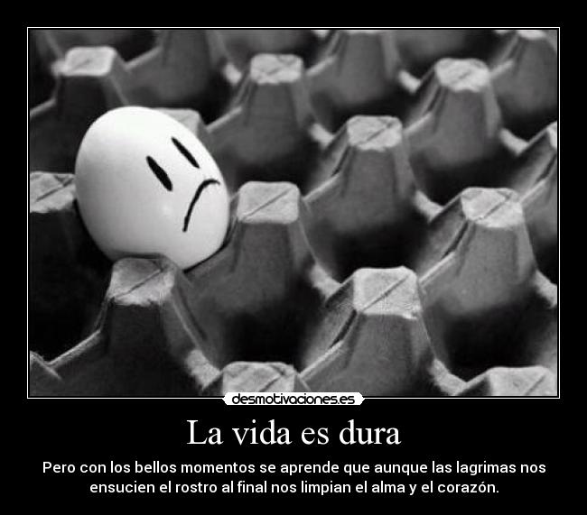 La vida es dura - Pero con los bellos momentos se aprende que aunque las lagrimas nos
ensucien el rostro al final nos limpian el alma y el corazón.