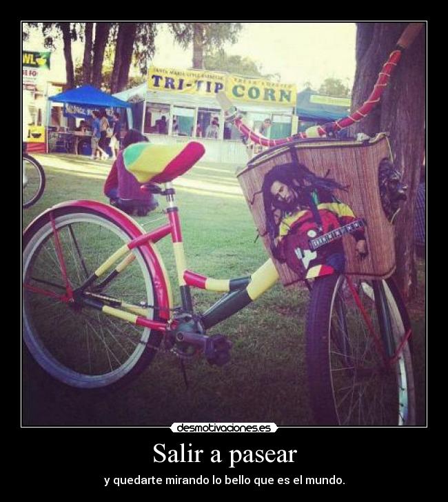 carteles verdad desmotivaciones