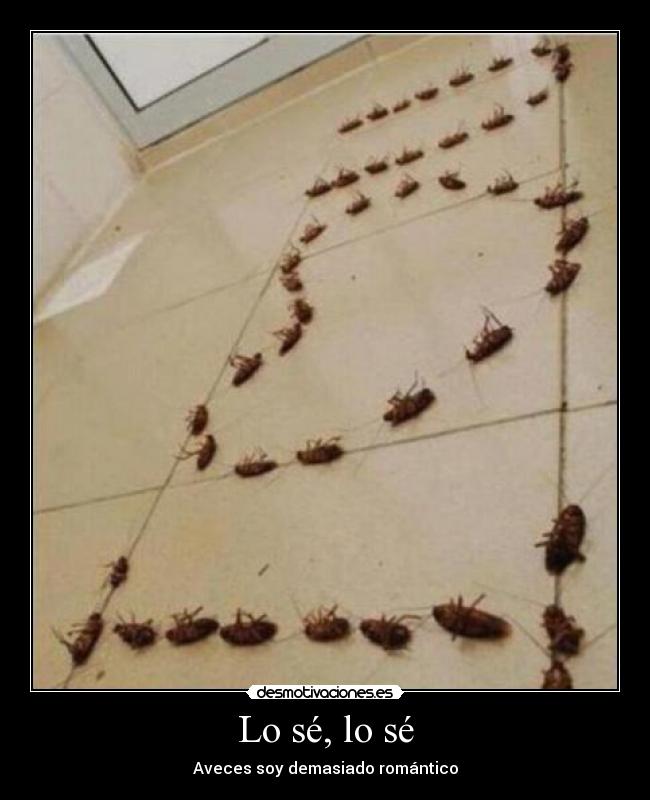 Lo sé, lo sé - Aveces soy demasiado romántico