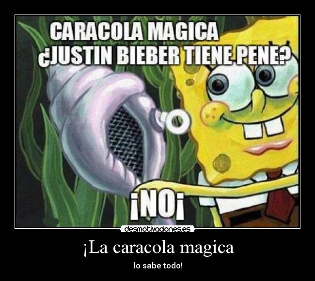 ¡La caracola magica - 