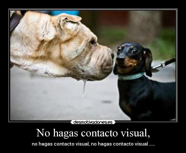 No hagas contacto visual, -