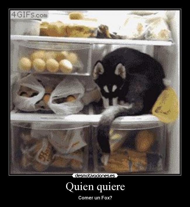 Quien quiere - Comer un Fox?
