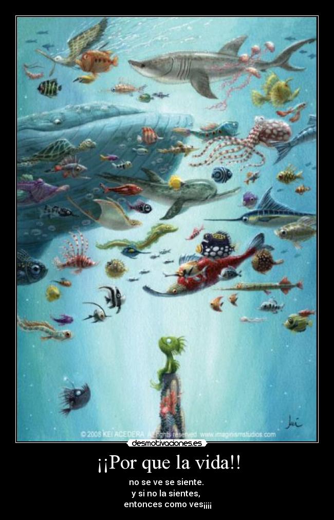 carteles vida graceloc desmotivaciones