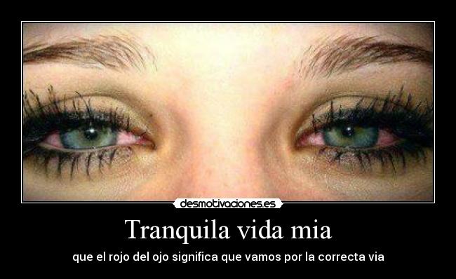Tranquila vida mia -