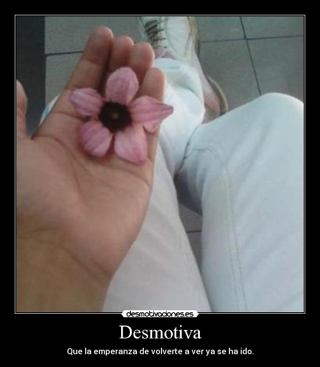 carteles esperanza amor desmotivaciones