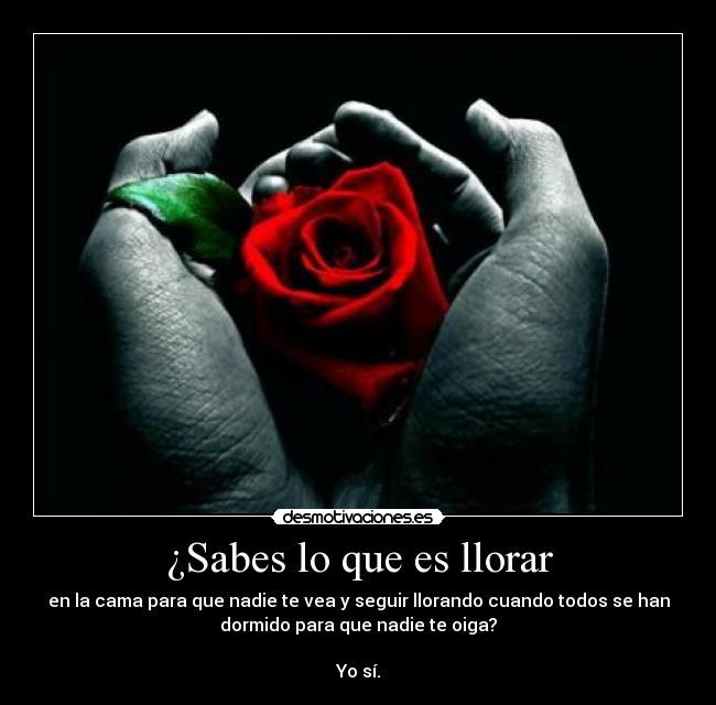 carteles llorar creoquesiasdfghj desmotivaciones