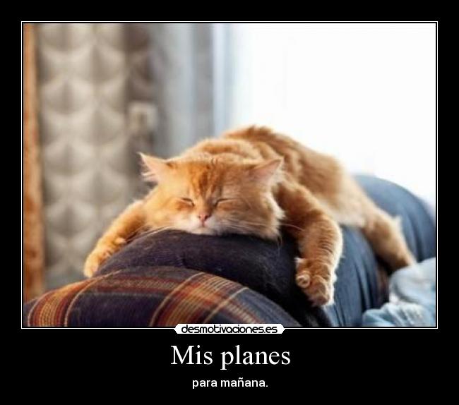 Mis planes - 