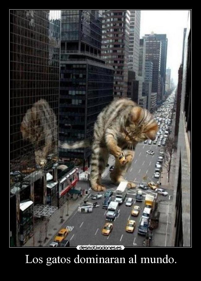 Los gatos dominaran al mundo. - 