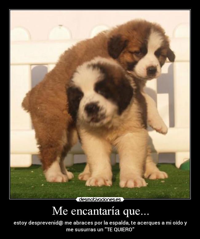 Me encantaría que... -