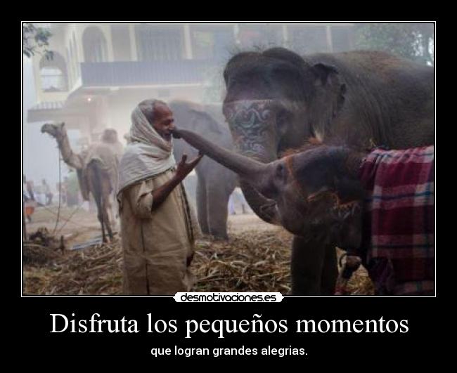 Disfruta los pequeños momentos - 