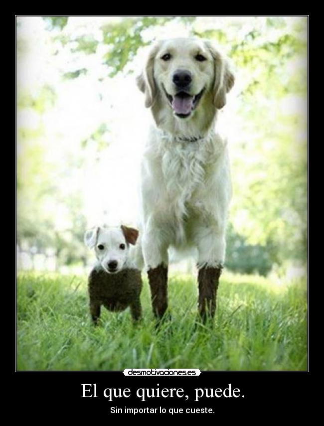 El que quiere, puede. - Sin importar lo que cueste.