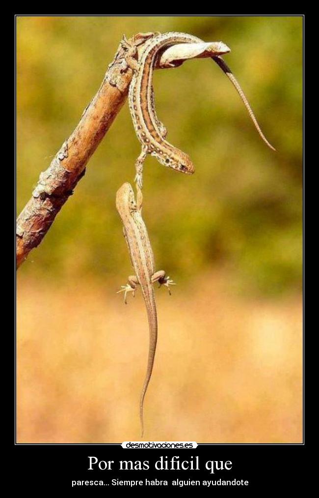 Por mas dificil que -