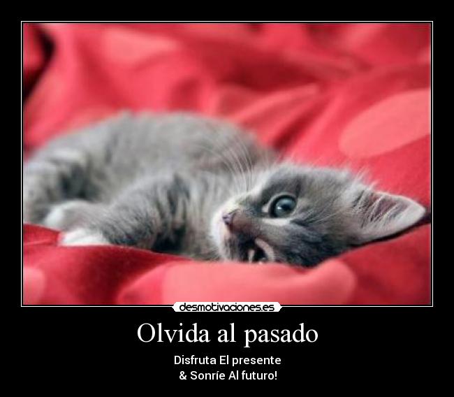 Olvida al pasado -