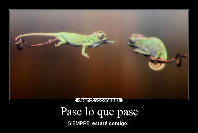 Pase lo que pase -