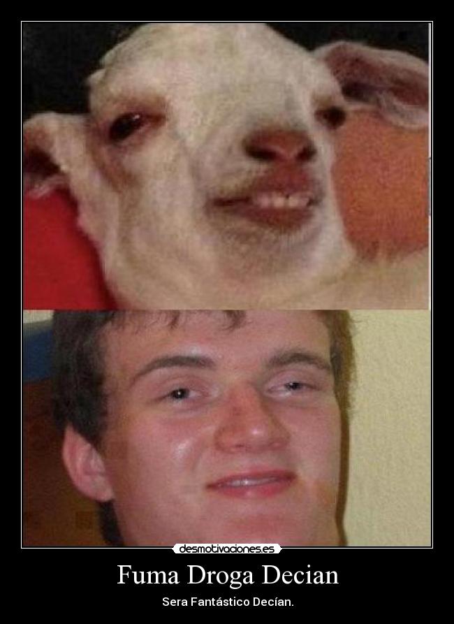 Fuma Droga Decian - Sera Fantástico Decían.