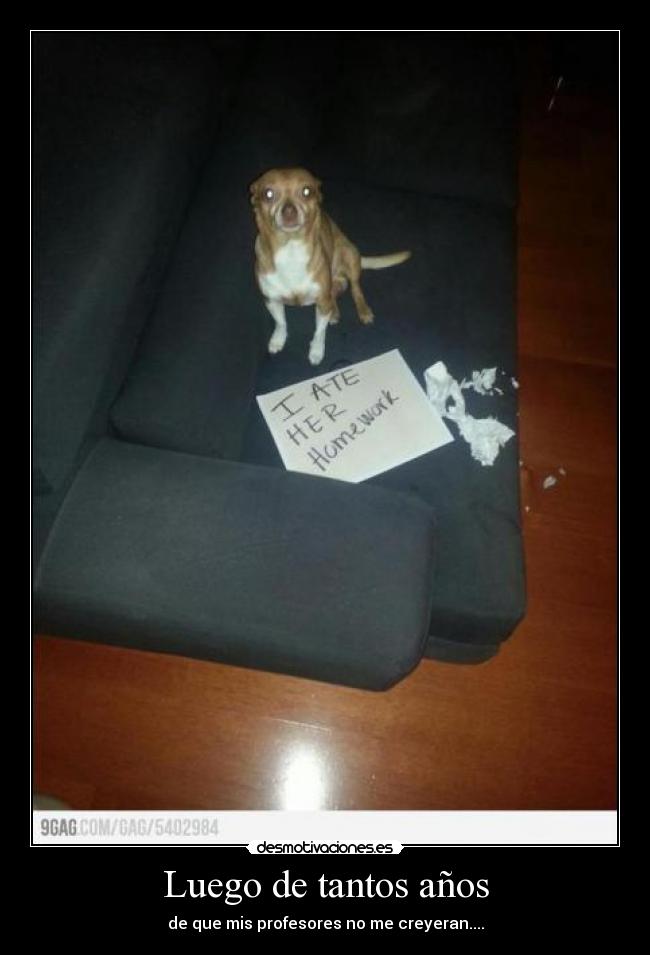 Luego de tantos años -