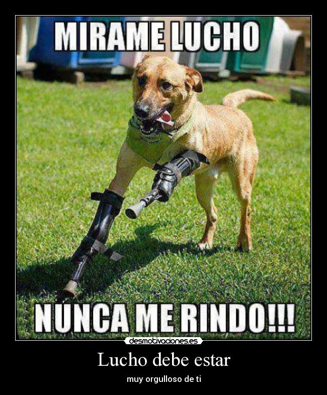 Lucho debe estar - muy orgulloso de ti