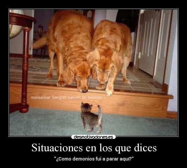 Situaciones en los que dices - ¿Como demonios fui a parar aquí?