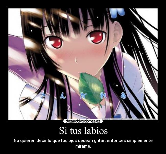Si tus labios - No quieren decir lo que tus ojos desean gritar, entonces simplemente mírame.