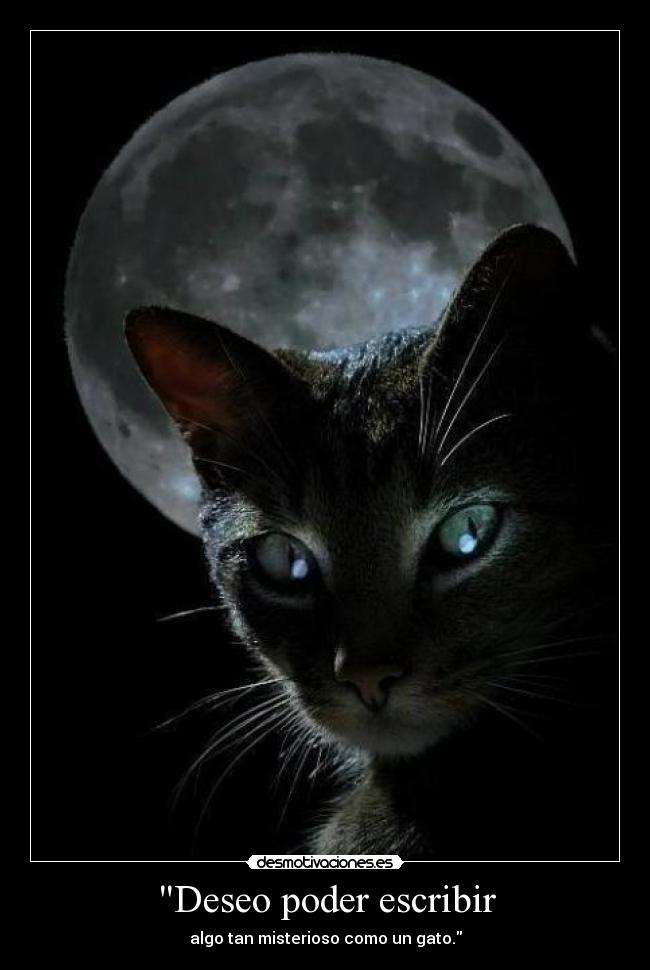 Deseo poder escribir - algo tan misterioso como un gato.