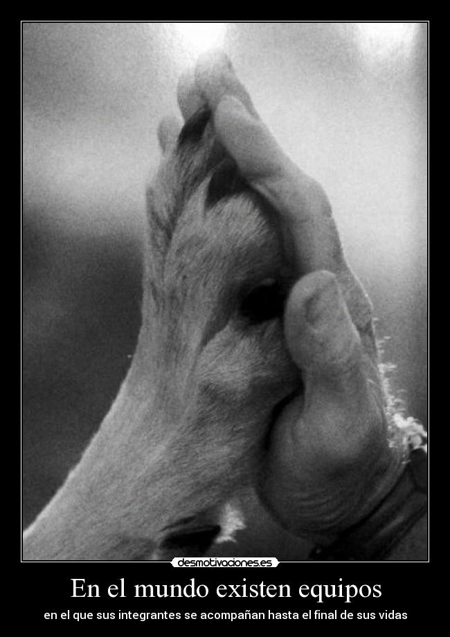En el mundo existen equipos - en el que sus integrantes se acompañan hasta el final de sus vidas
