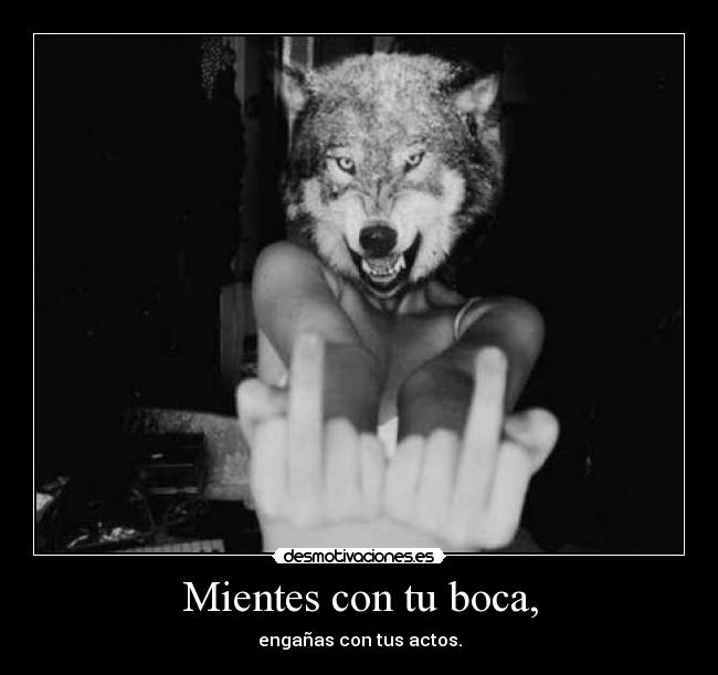 carteles holaaa desmotivaciones